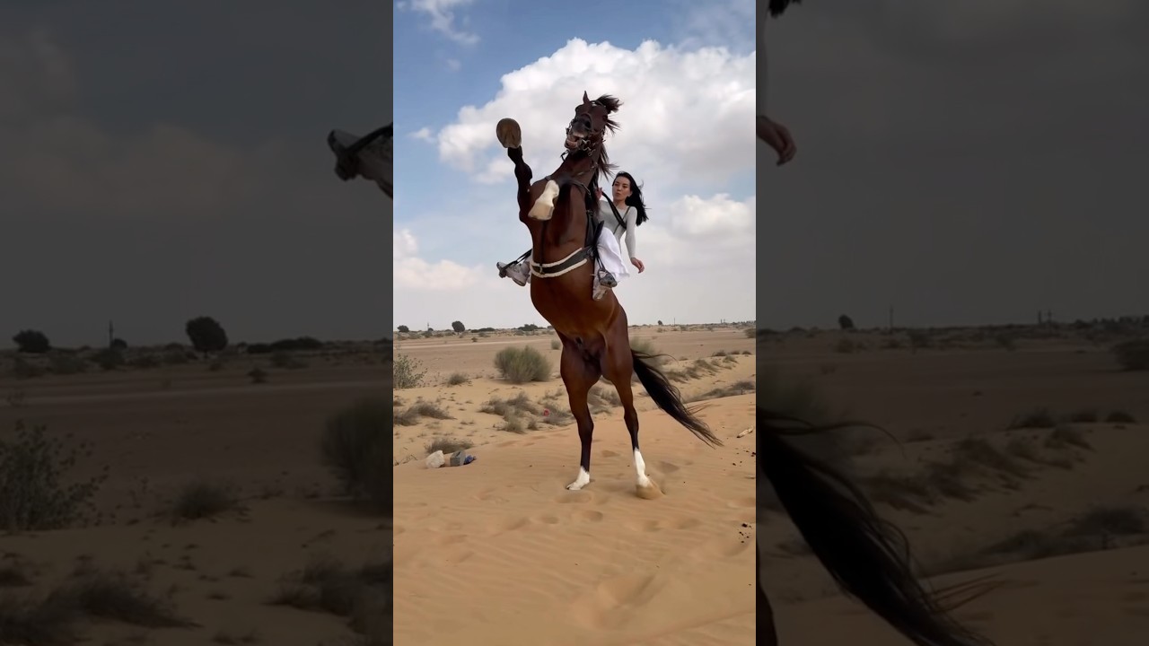 #horse 🐎 #video 🐎🐎🐎🐎🐎🐎🐎🐎🥰🥰🥰🥰🥰🤟🤟👌👌🐎🐎