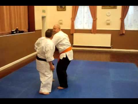 Passai Bunkai Oyho