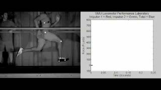 Two-Mass Model for Human Running Vertical Forces