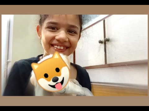 Surprise gift for my lil sister 🐕 !!!