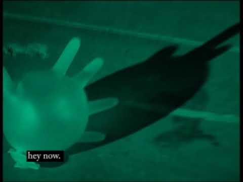 Leif Karate - Steve McQueen Was Great In Papillon (OFFICIAL MUSIC VIDEO)