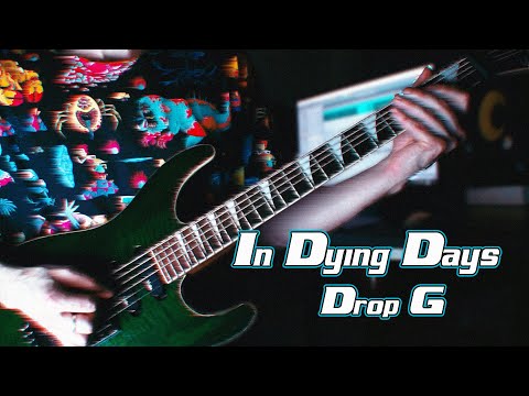 As Blood Runs Black - In Dying Days (GUITAR COVER|DROP G|Screen Tabs|)