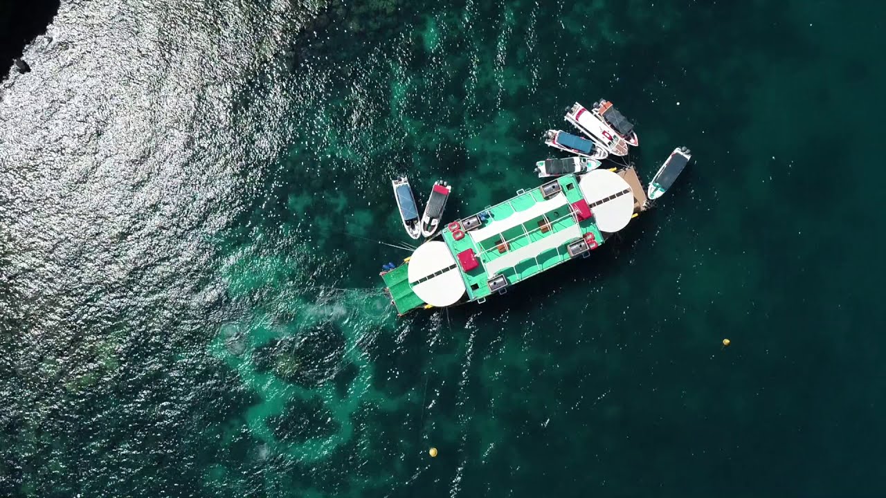 Discover a glimpse of Sea Walking experience.