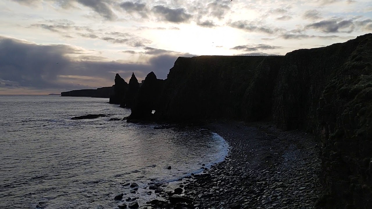 Dunnet Head - Grey Seals