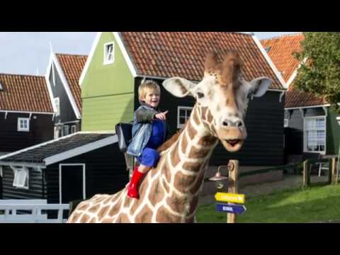 Giraffe Dikkertje Dap loopt door woonwijk