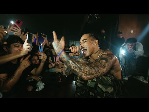 fivestar and plaqueboymax