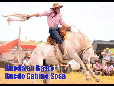 Rueda en Basto Oriental / Ruedo Gabino Sosa / Colonia América San José año 2014