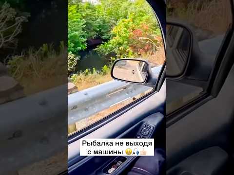 Ставь лайк! 😁  #рыбалка #рыбак #щука #сазан #окунь #карп #сом #спиннинг #фидер #карась #поклевка