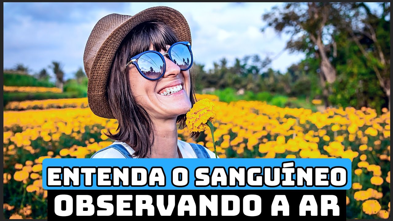 ENTENDA PROFUNDAMENTE O SANGUÍNEO OBSERVANDO O ELEMENTO AR!🌪