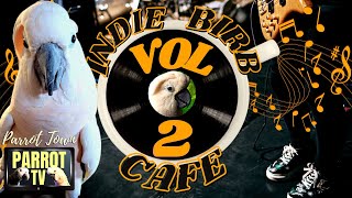 Indie Birb Cafe [Vol. 2] Indie Alternative Music for Birds | Parrot Music TV for Your Bird Room
