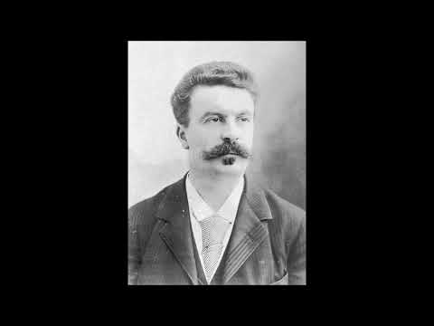 Guy de Maupassant - Šílenec
