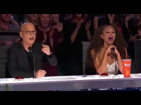 video#the cats 🐈 are so cutes video#