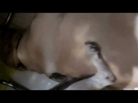 #missyou #batul #sahara