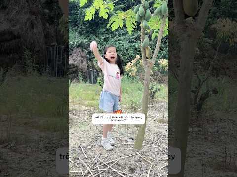 Cô bé ngăn cản bố đến gần vực sâu tử thần