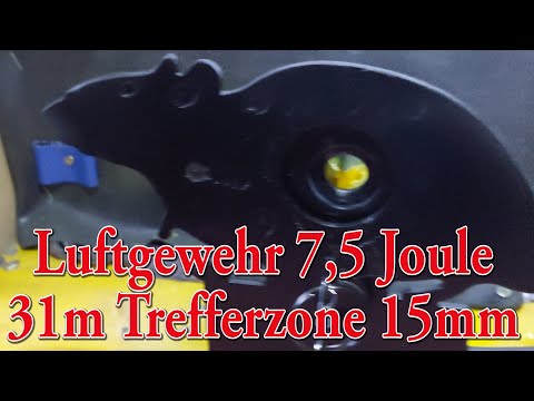 Firing test in shooting range 31 m 15mm Killzone #airgun #rifle #airrifle