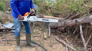 Stihl MS 382 Chainsaw 24inch opening and testing