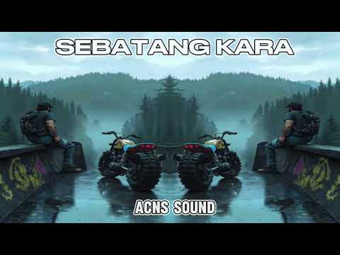 ZEEY™RMX - YANGER - SEBATANG KARA