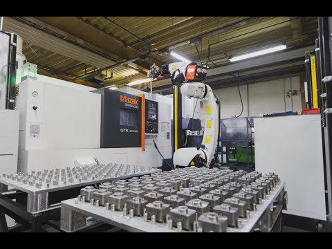 ROBOJOB Pallet-Load Integrated Pallet Loaders | Pioneer Machine Sales Inc. (1)