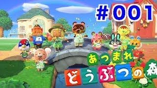 【あつまれどうぶつの森】はじめてのプレイ#001　Animal Crossing New Horizons First Play 2020.5.17