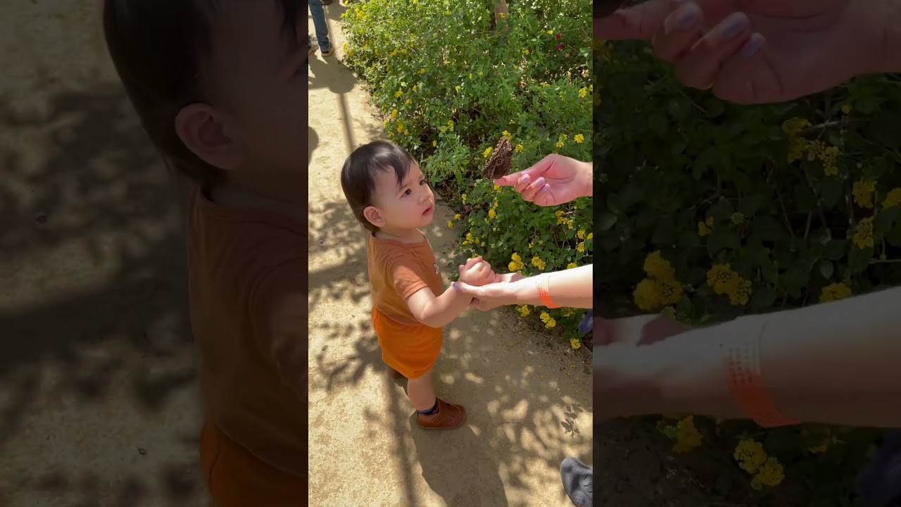 YouTube Short thumbnail