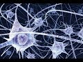 Klaus Schulze -  Are you sequenced?  (excerpt)