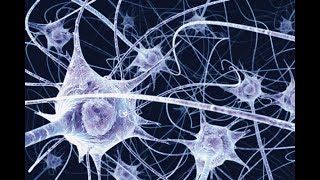 Klaus Schulze -  Are you sequenced?  (excerpt)