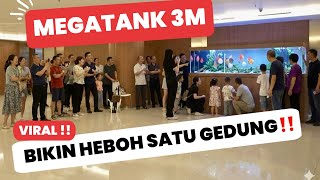 BIKIN HEBOH & VIRAL MEGATANK 3 M DI LOBI PERKANTORAN MEWAH DI ISI DENGAN PULUHAN IKAN SULTAN GUYS