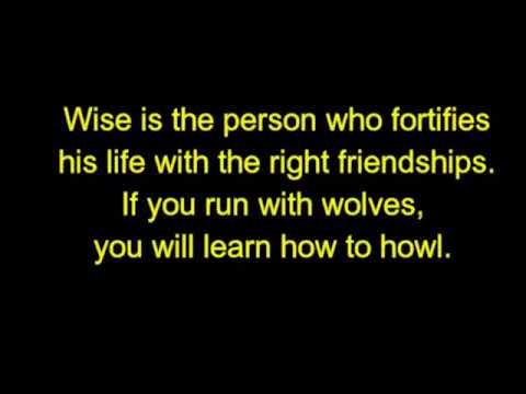 Quote of Wisdom video