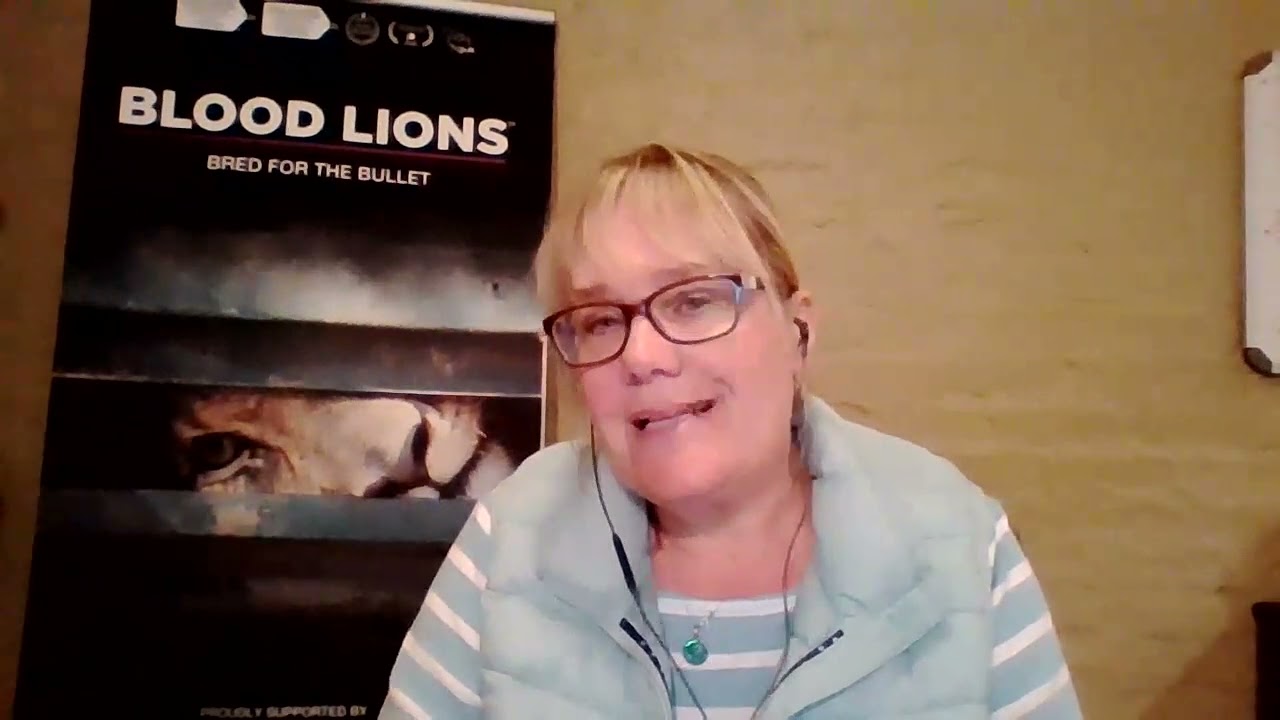 Blood Lions interviewed on MojoStreaming