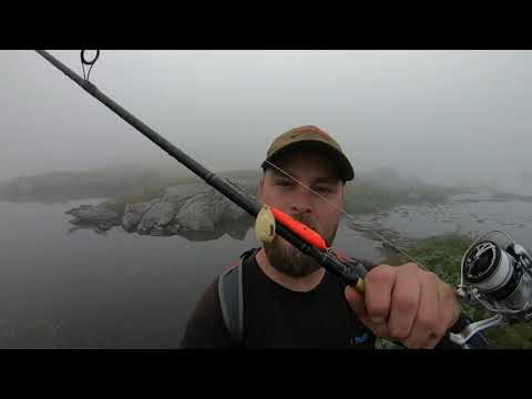 Skaumenn i Rago Nasjonalpark - Dag 6. Tåkefiske