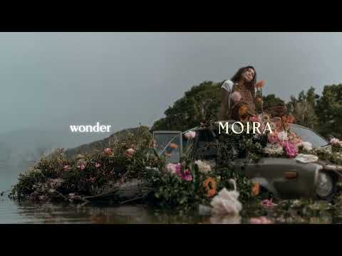Video thumbnail for Wonder