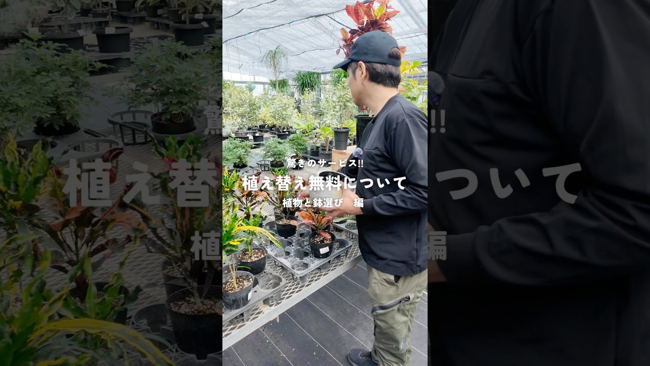 【驚きのサービス!!】植え替え無料ブース/植物と鉢選び編