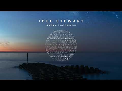 Lemon And Photographs - Joel Stewart