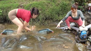 The Woman Fishing Tips on Rivers and Lakes, Create Fish Traps on The Stream Caught a Lot of Big Fish