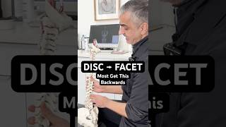 A Gonstead Perspective on Disc vs. Facet Pain | Dr. Rahim