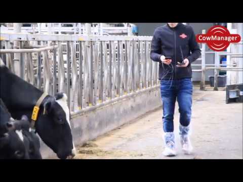 CowManager Network Analyzer Video