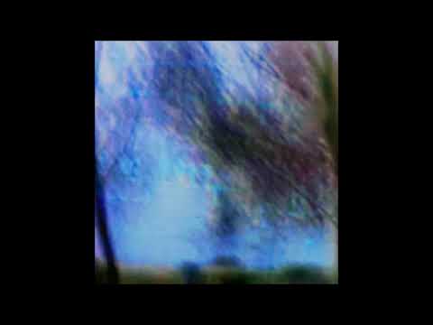 07. kodyak - megacardia