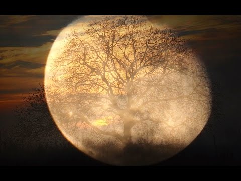 download lagu mp3 mp4 Ludwig Van Beethoven, download mp3 Ludwig Van Beethoven free downloadn, video klip Ludwig Van Beethoven