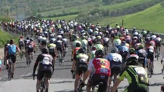 le-emozioni-della-mediofondo-primavera