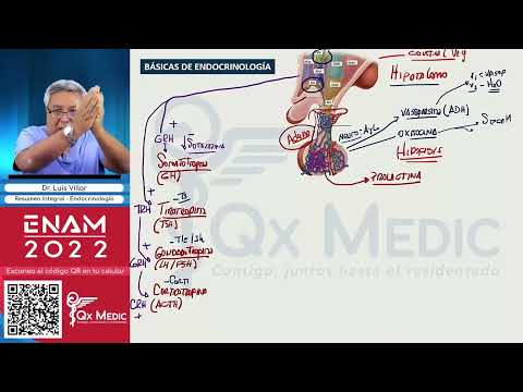 Resúmenes Integrales - Endocrinologia