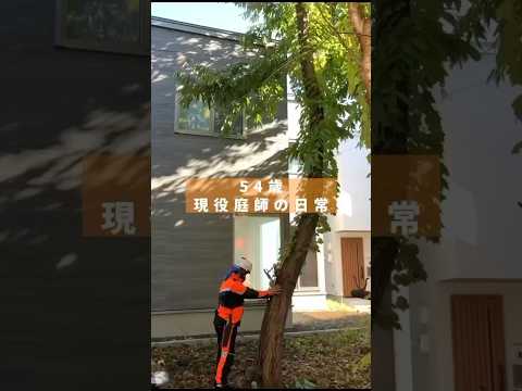 jardin-alpin-idées-pierres-pont-plantes