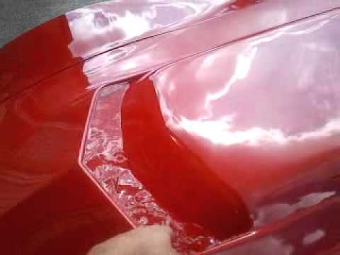 Fågelbad på Corvetten