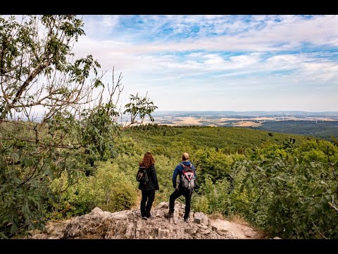 Erlebnis Pfälzer Höhenweg - Wo sich Höhe und Weite treffen