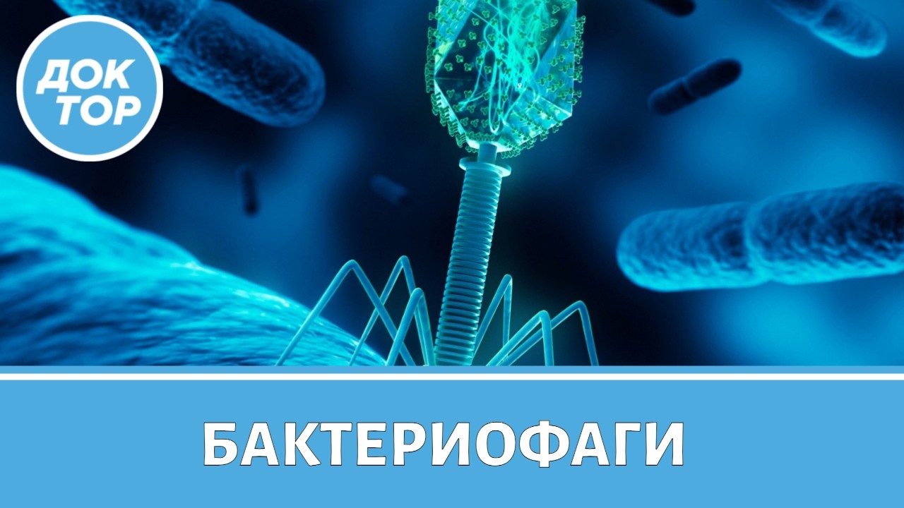 Вирусы как альтернатива антибиотикам