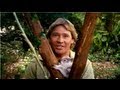 Steve Irwin Customs Quarantine TV Ad 2002 Australia