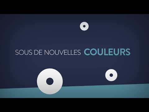 Un nouveau logo pour l'Association Chiens Guides Grand Sud Ouest