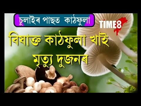 বকতাত কাঠফুলা খাই মৃত্যুক সাৱটিলে দুজনকৈ লোকে || Time8 News