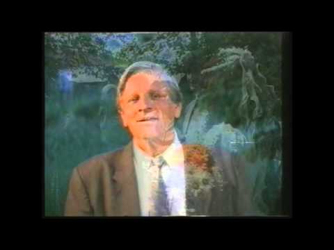 Latif Havkic(Svadba je njena)Studio Kemix (Officiall  video)1999