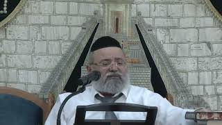 הרב ליאור כחלון,גמרא ברכות דף ז ע א,בשעה שהחמה זורחת (הרב ליאור כחלון) - התמונה מוצגת ישירות מתוך אתר האינטרנט יוטיוב. זכויות היוצרים בתמונה שייכות ליוצרה. קישור קרדיט למקור התוכן נמצא בתוך דף הסרטון