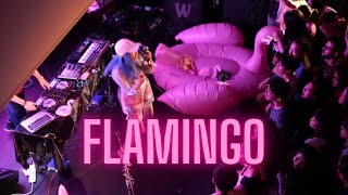 Kero Kero Bonito「Flamingo」Live Music Video